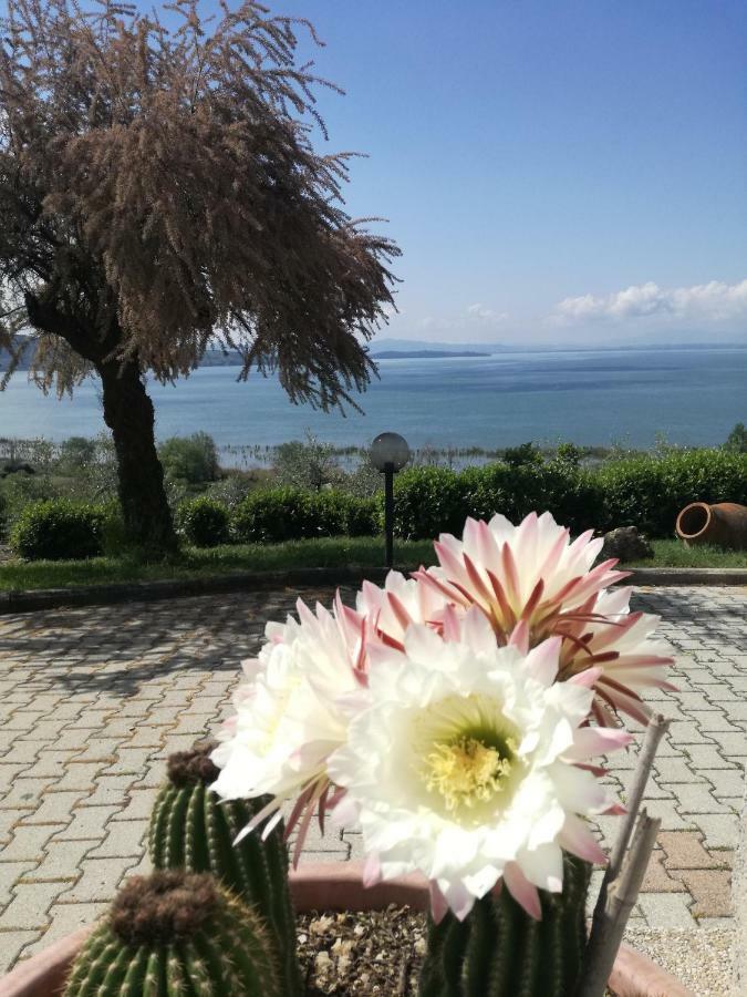B&B Torre Del Lago Trasimeno Passignano sul Trasimeno Exterior foto